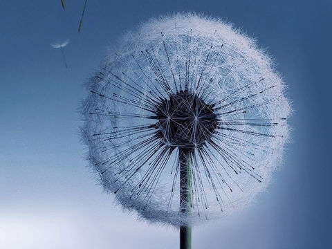 一世歌  唐寅 （明朝）