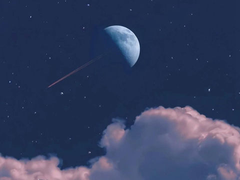 栀子花