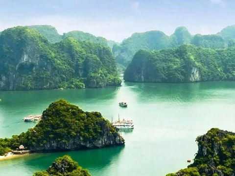 鲁迅经典语录 人生篇（二）