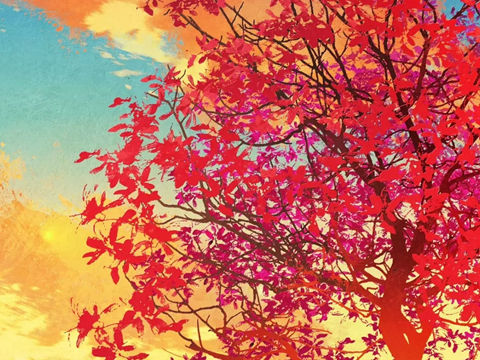父亲的节日