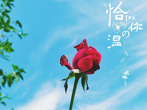 暮年
