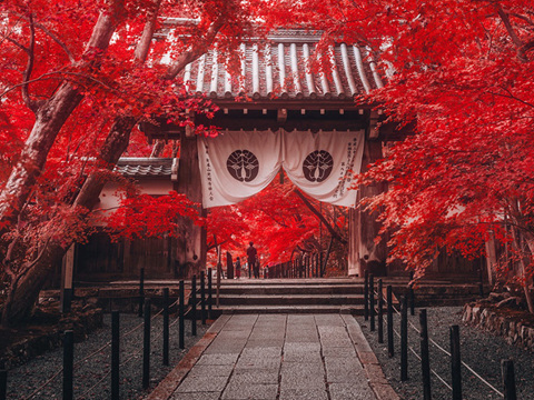 探故知