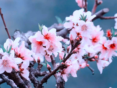 韩仕梅诗选（三）