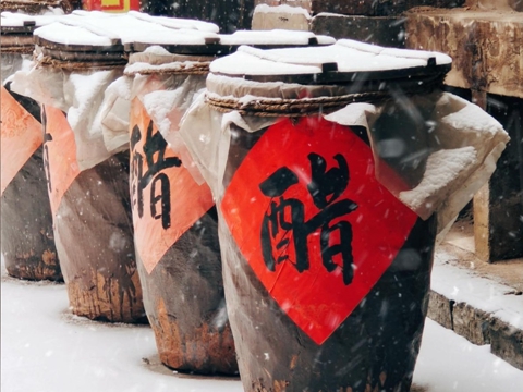 矫揉造作的贫穷 托马斯·卡鲁 （英国）