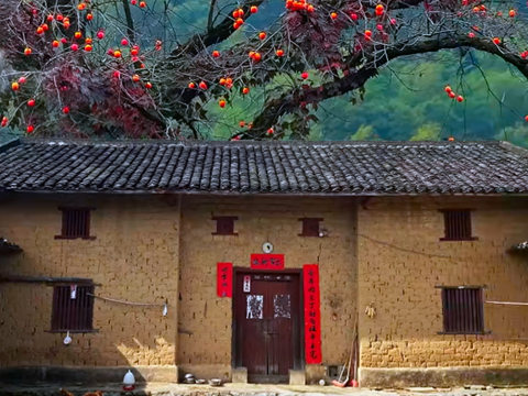 李清照和唐伯虎的《一剪梅》谁写得好？