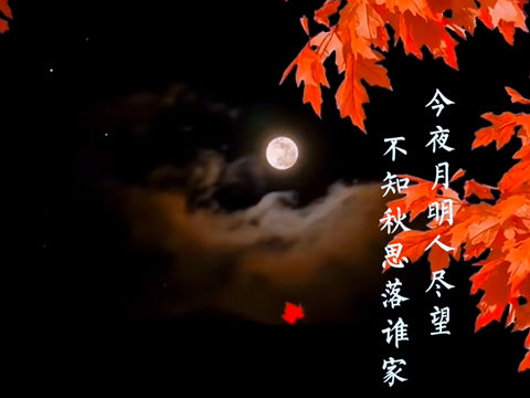 谁与我同行
