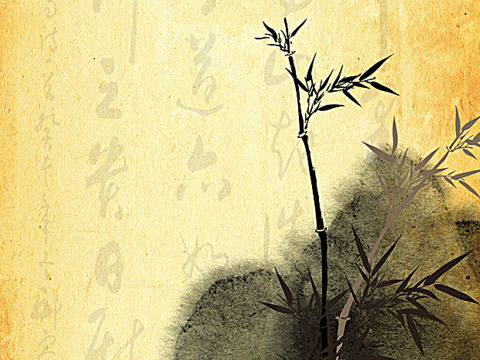 探故知