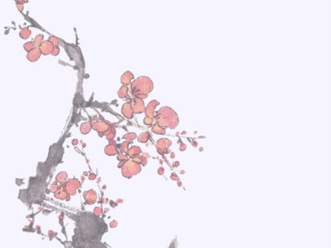 过河（周涛）